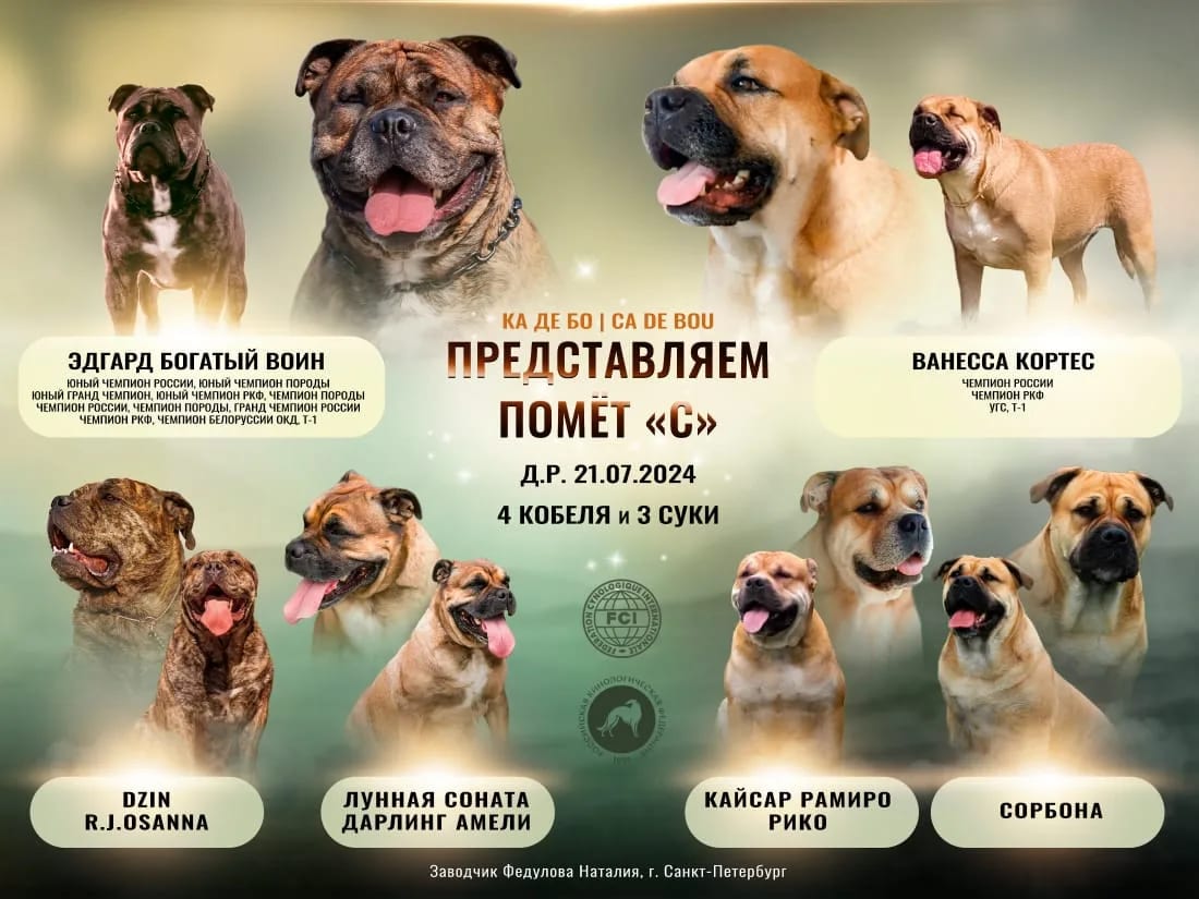 Афиша: помёт «С», 21.07.2024, 4 кобеля и 3 суки
