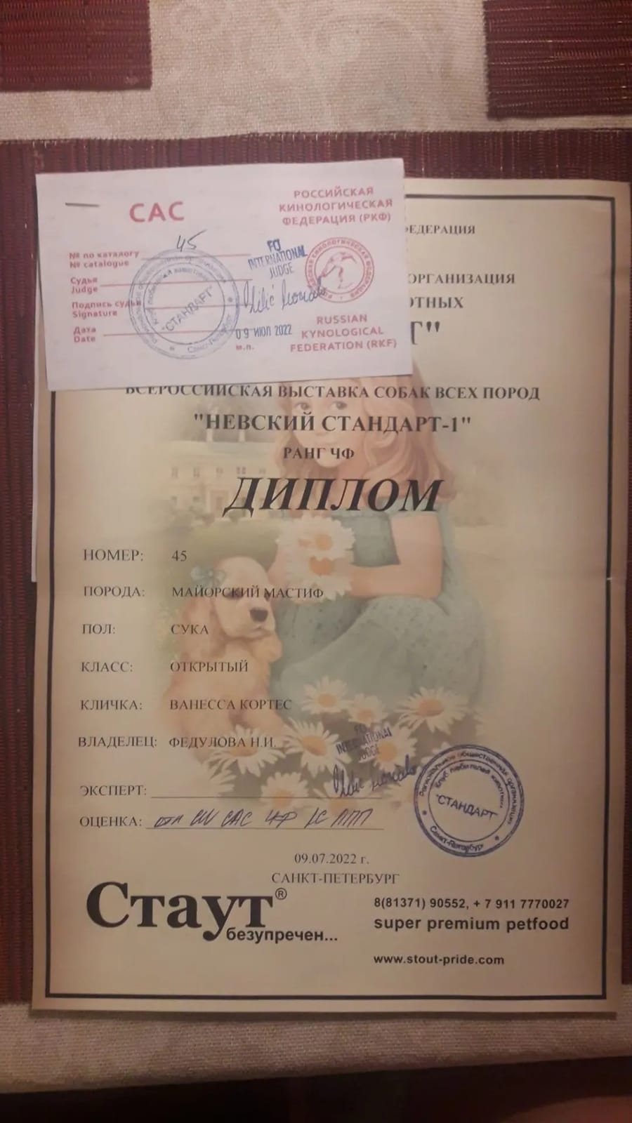 Диплом «Невский стандарт-1»