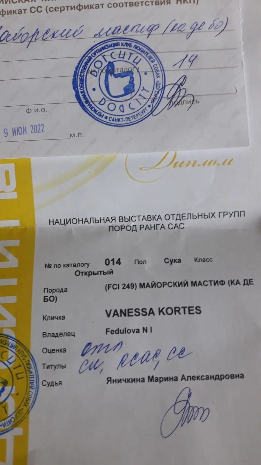 Диплом национальной выставки ранга САС